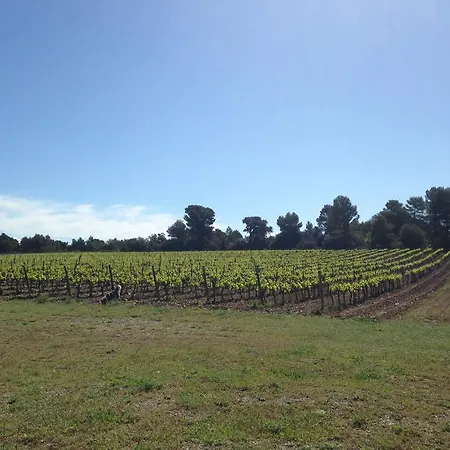 Chateau D Argeres Laure-Minervois