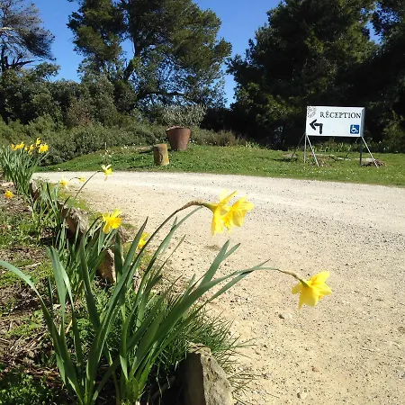 Chateau D Argeres Laure-Minervois
