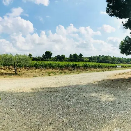 Chateau D Argeres ゲストハウス Laure-Minervois
